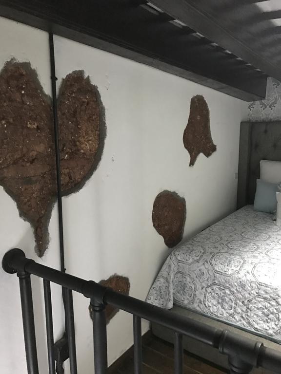 315 Recinto Sur Old San Juanアパートメント エクステリア 写真